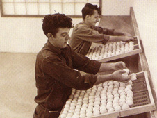 Historical Egg Farm